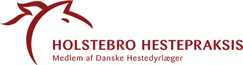 Holstebro Hestepraksis