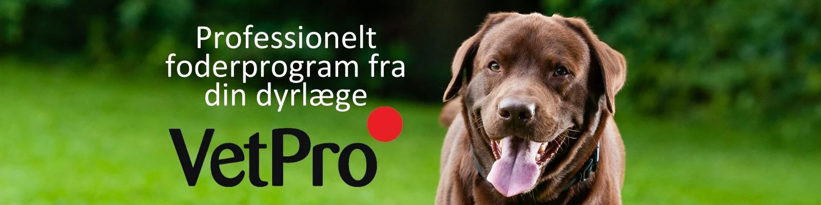 VetPro