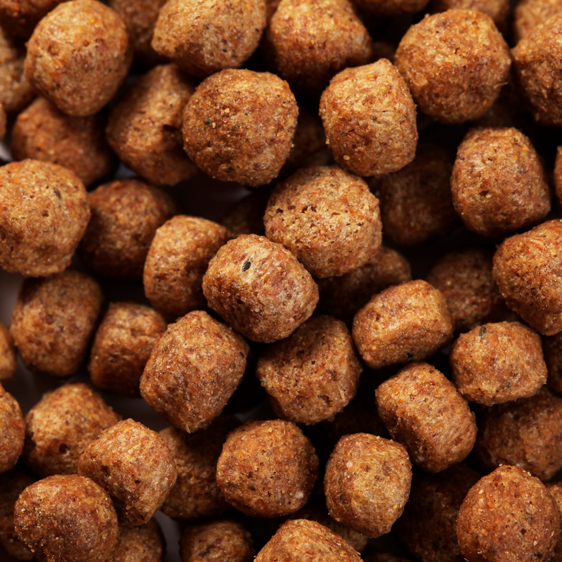 SPECIFIC CGD-M Senior Medium Breed