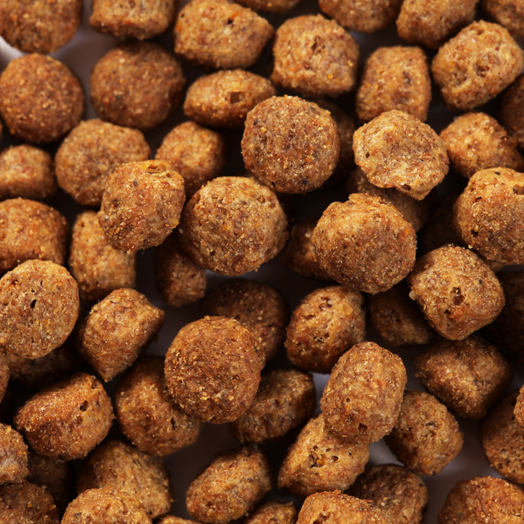 SPECIFIC CGD-S Senior Small Breed