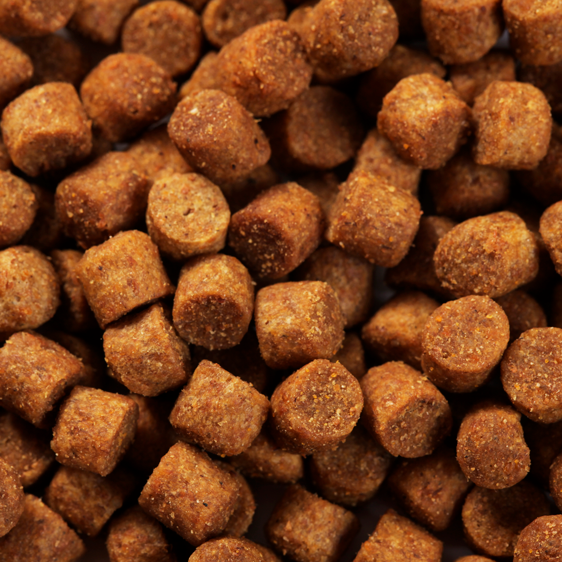 SPECIFIC CPD-S Puppy Small Breed