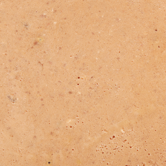 SPECIFIC CGW Senior All Breeds