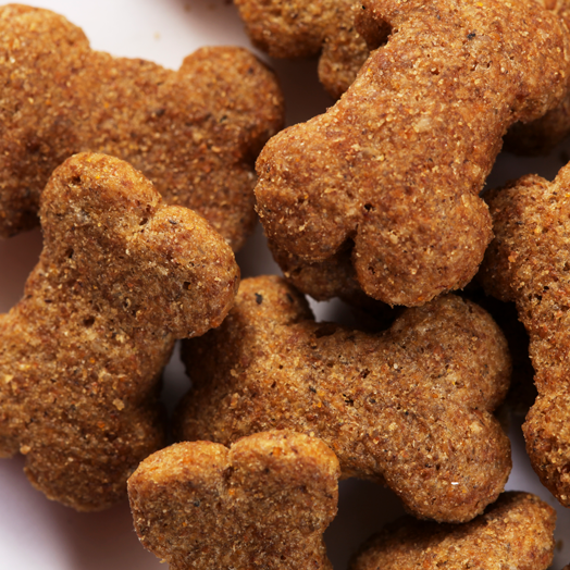 SPECIFIC CT-H Healthy Treats