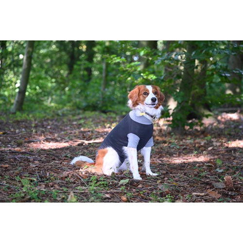 BUSTER Body Suit Classic til hunde