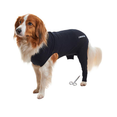 BUSTER Body Sleeves, bagben