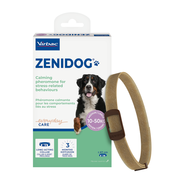 Zenidog Halsbånd