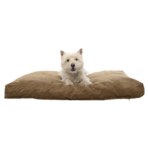 BUSTER Memory Foam hundeseng, camel