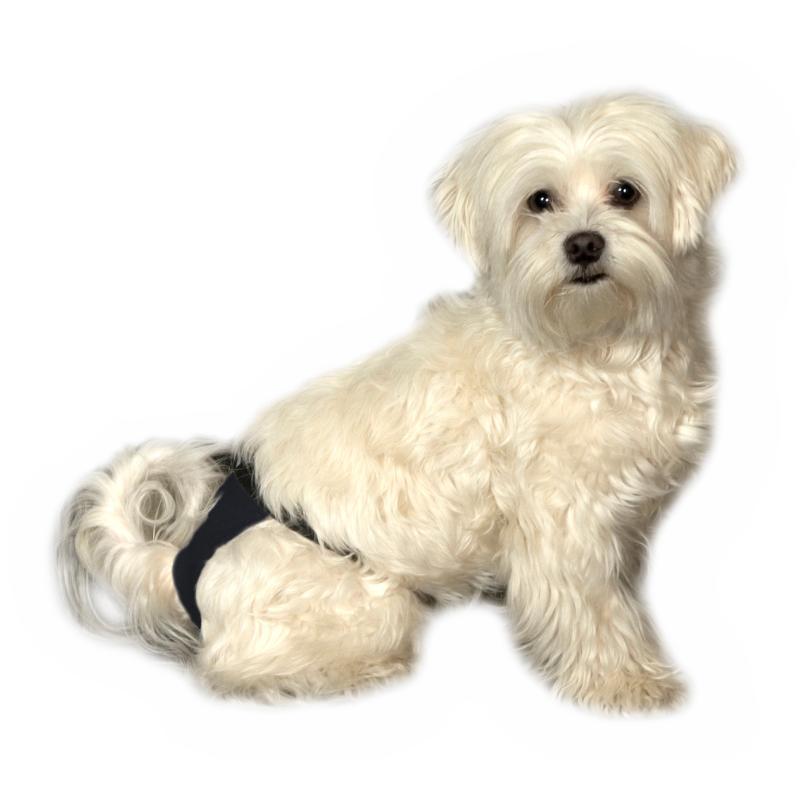 BUSTER Løbetidsbukser sort