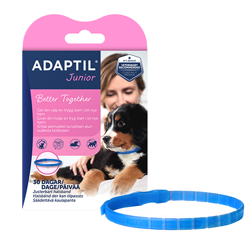 Adaptil Junior halsbånd der giver hvalpe en følelse af tryghed