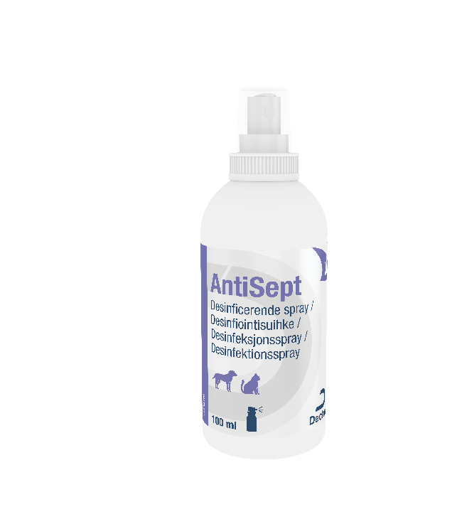 AntiSept klorhexidin spray