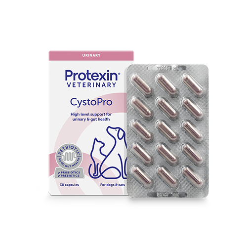 CystoPro, 30 tab
