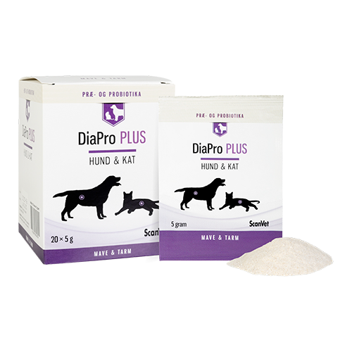 DiaPro PLUS - 20 breve til genetablering og stabilisering af den naturlige tarmflora