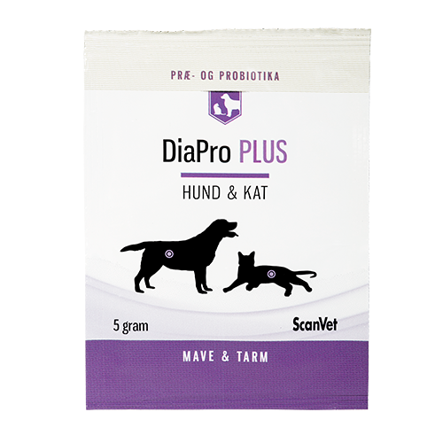 ScanVet Diapro PLUS til genetablering og stabilisering af naturlig tarmflora hos hund og kat
