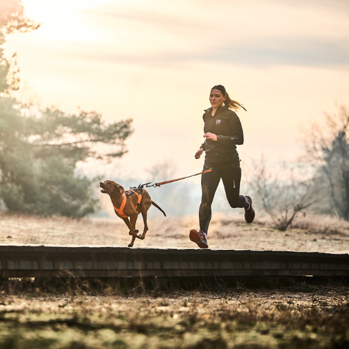 Non-stop Dogwear CaniX Belt 2.0 – Løbebælte