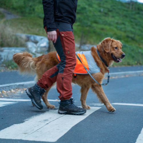 Non-stop Dogwear Reflection Blanket