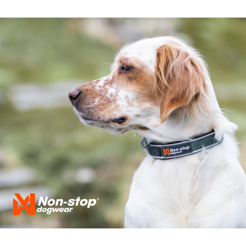 Non-stop Dogwear Roam Collar, Black