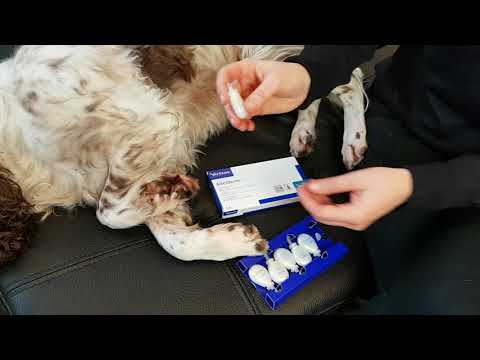 Sådan bruger du Allerderm Spot On på sprukne poter