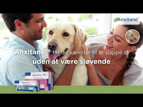 Anxitane helps your pet cope with stressful situations