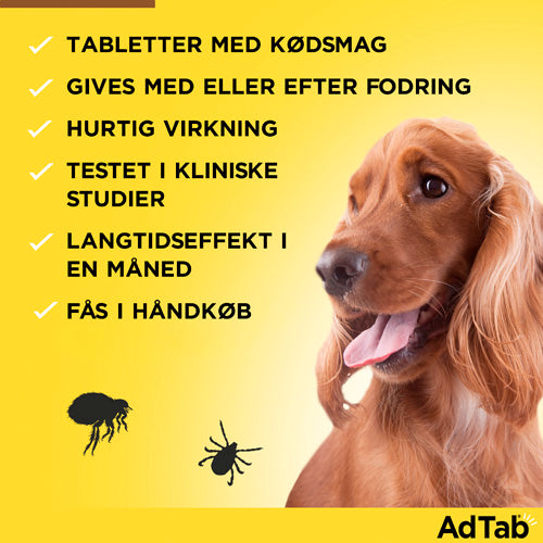 AdTab til hunde 2,5 til 5,5 kg