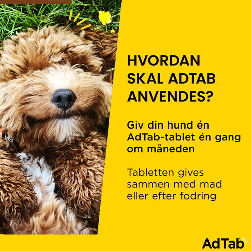 AdTab til hunde 1,3 til 2,5 kg