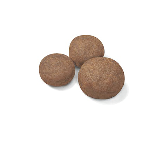 Royal Canin Medium Puppy er tørfoder til hvalpe af mellemstore racer.