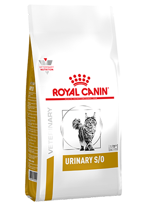 Royal Canin Urinary S/O er en velafbalanceret diæt til voksne katte med sten i urinveje og gentagne blæreinfektioner. Ernæring spiller en vigtig rolle ved håndtering af lidelser i de nedre urinveje.