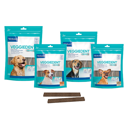 VeggieDent Fresh er vegetabilske tyggepinde til hunde, der modvirker plak, tandsten og dårlig ånde. VeggieDent Fr3sh har en mekanisk rensende effekt når hunden tygger den.