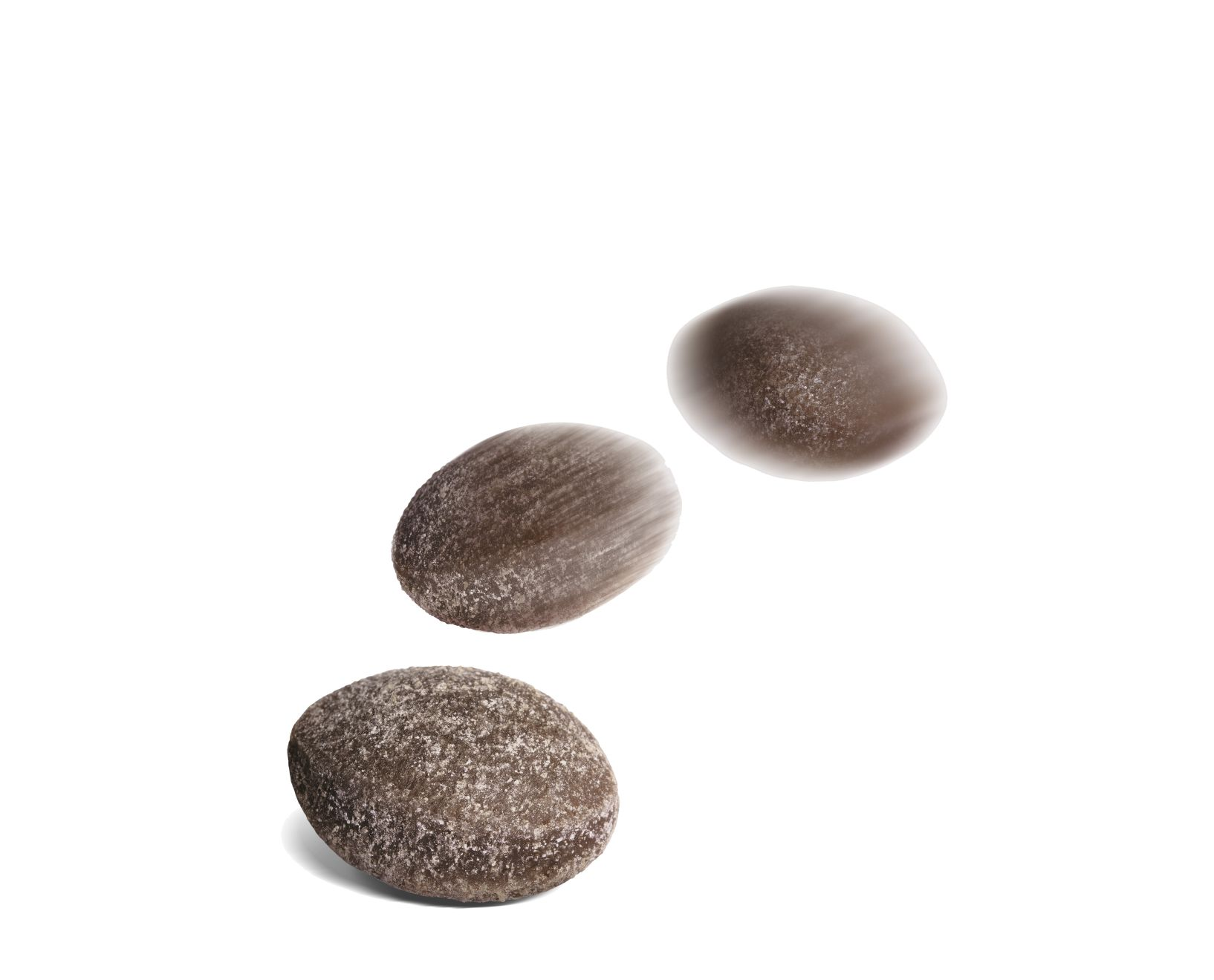 Royal Canin Gastrointestinal Treats til hund