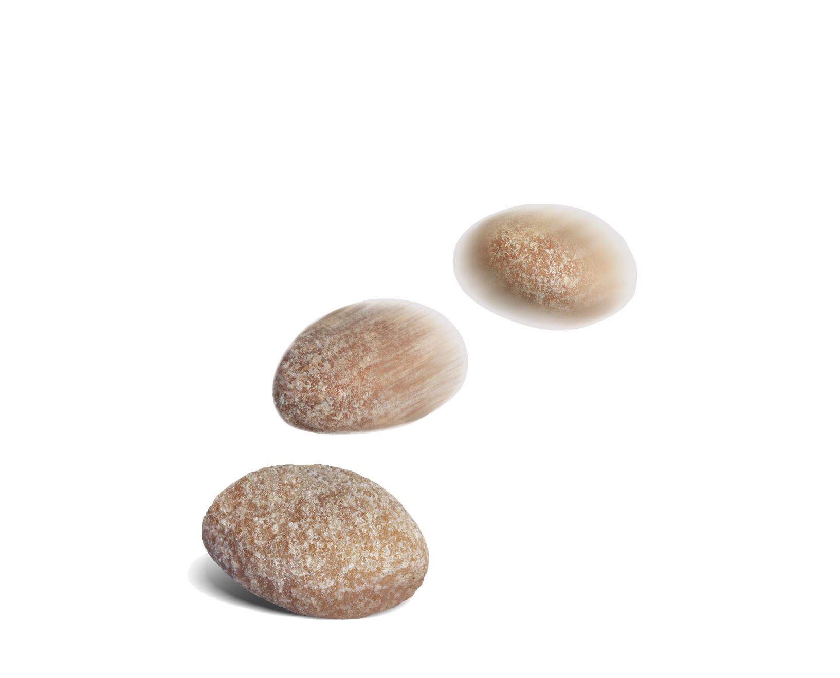 Royal Canin Hypoallergenic Treats til hund