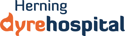 Herning Dyrehospital