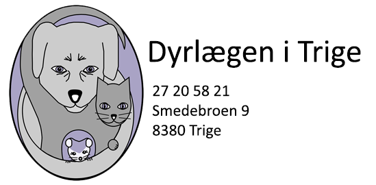 Dyrlægen i Trige