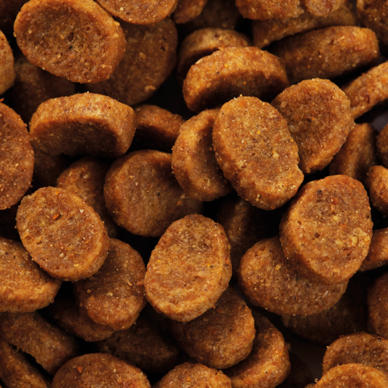 SPECIFIC CCD Struvite Management