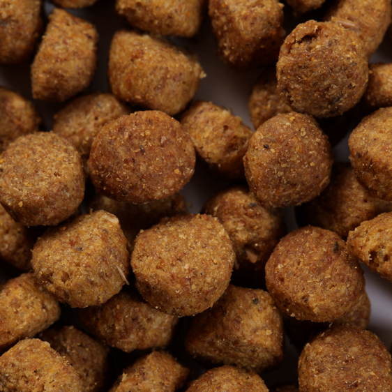 SPECIFIC CED-DM Endocrine Support