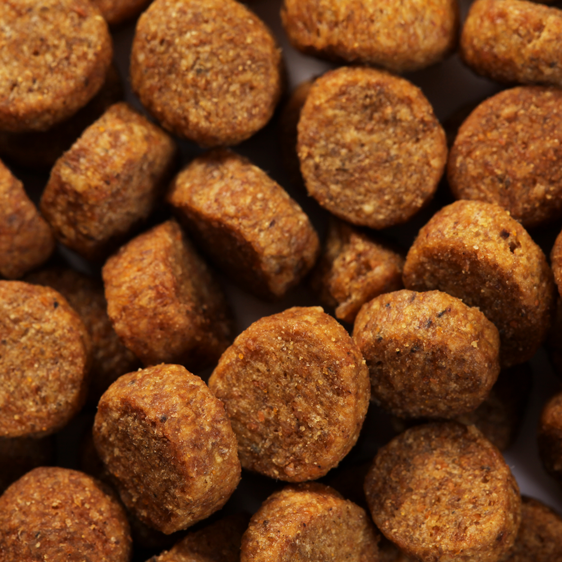 SPECIFIC CJD Joint Support