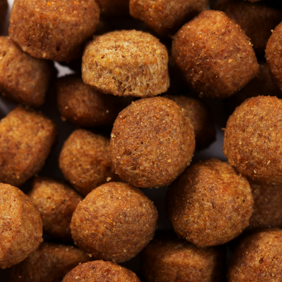 SPECIFIC CPD-XL Puppy Large and Giant Breed