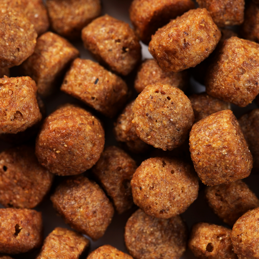 SPECIFIC CXD-M Adult Medium Breed