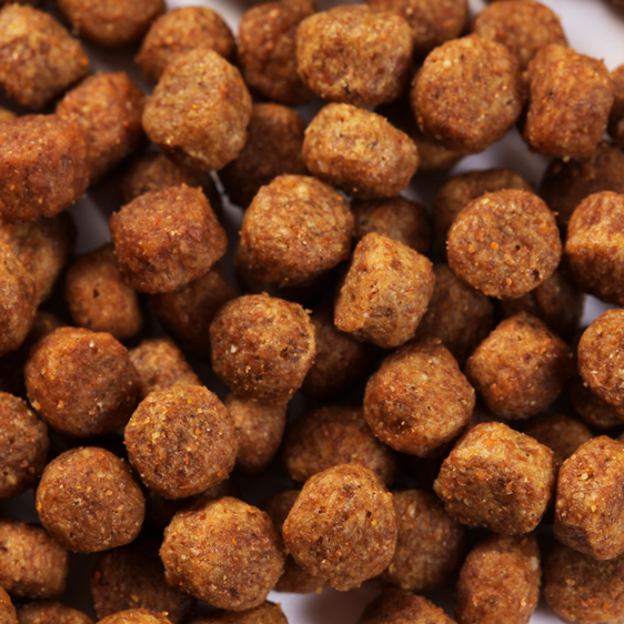 SPECIFIC CXD-S Adult Small Breed