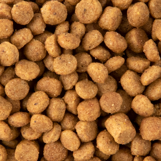 SPECIFIC CXD-XS Adult Small Breed