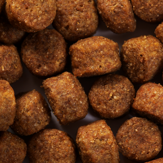 SPECIFIC CXD-XL Adult Large & Giant Breed