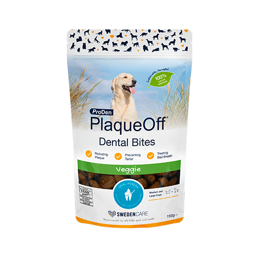 PlaqueOff Dental Bites godbidder