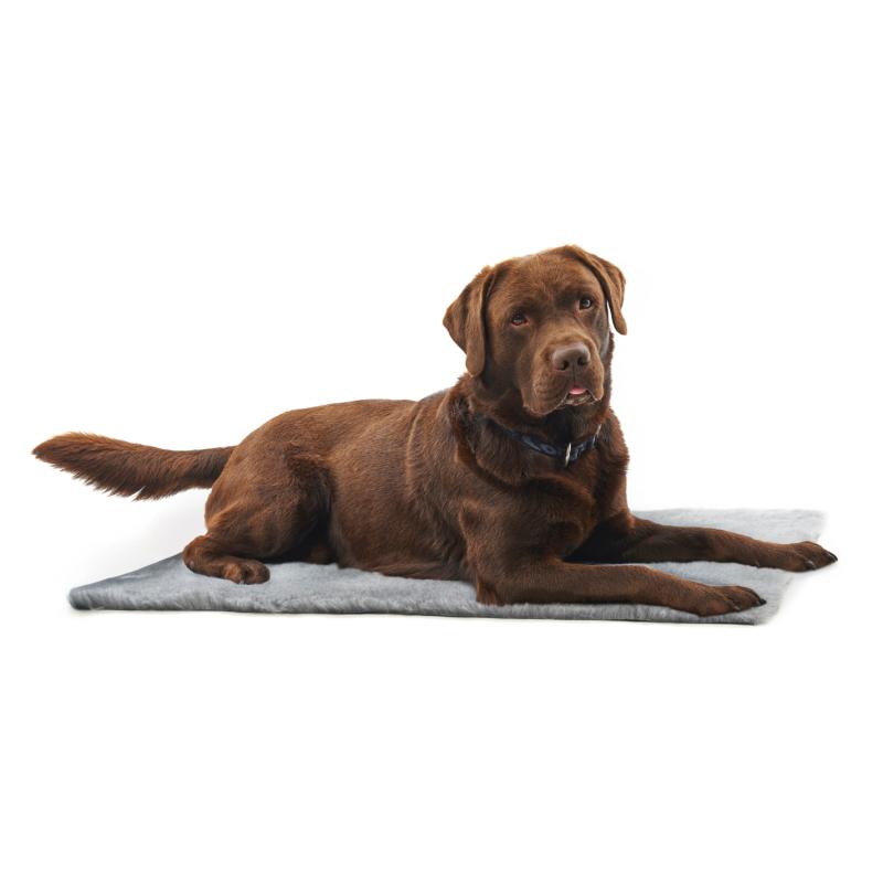 Vet Bed, Anti-slip, grå