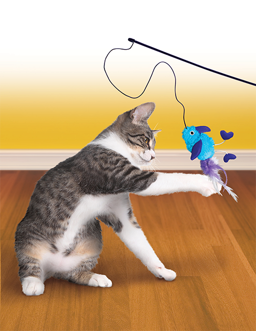 Interaktivt legetøj til kat