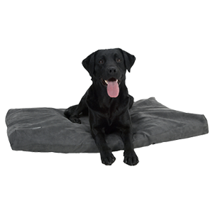 BUSTER Memory Foam hundeseng, grå