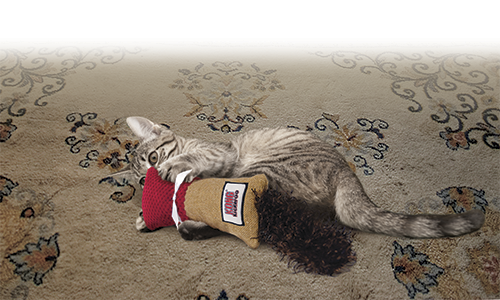 Legetøj til din kat