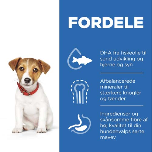 Hill's Science Plan Puppy Small & Mini, Chicken