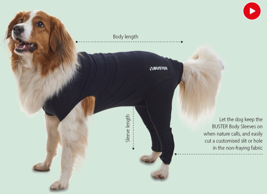 BUSTER Body Sleeves, bagben