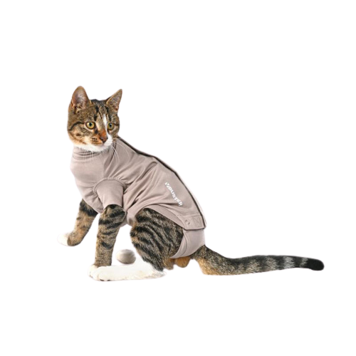 BUSTER Body Suit Step'n Go til kat