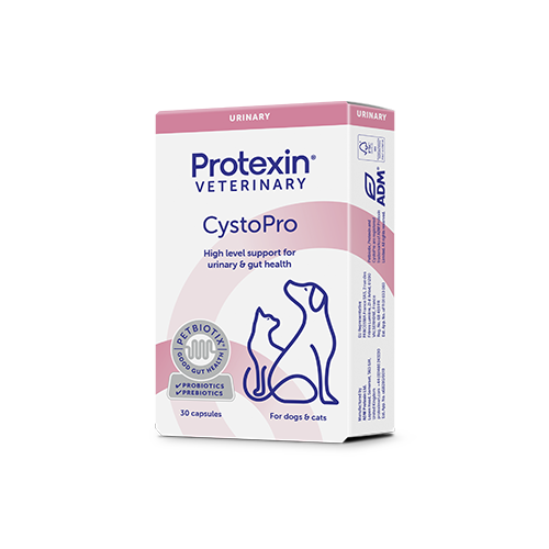 CystoPro, 30 tab