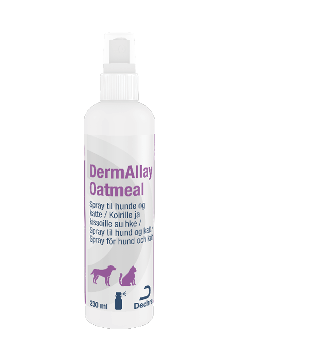 DermAllay Oatmeal Conditioner