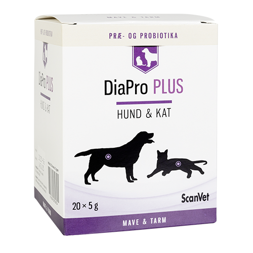 Diapro PLUS Hund & Kat, 20 breve | Til løs mave hos hund og kat